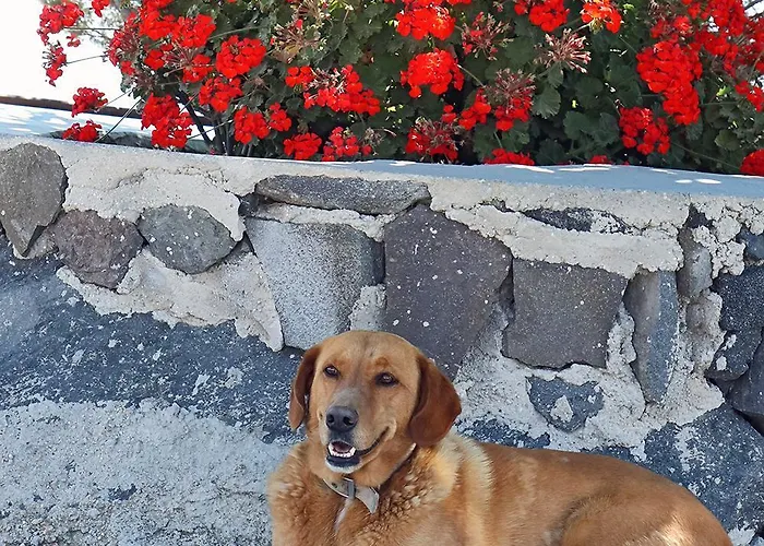 Phaos Santorini Hotel Imerovígli