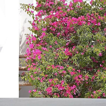 Hotel Phaos Santorini 3*