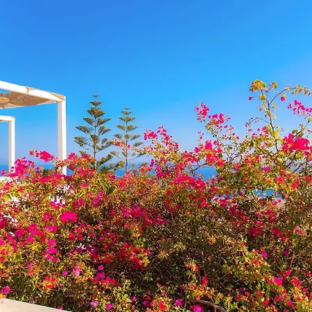 Phaos Santorini Hotel 3*