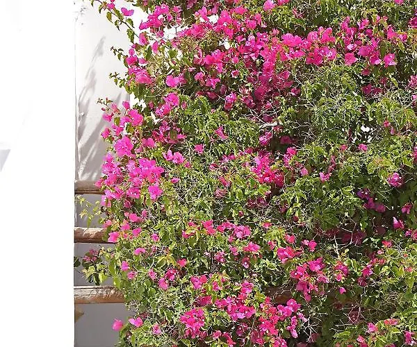 Hotel Phaos Santorini 5*