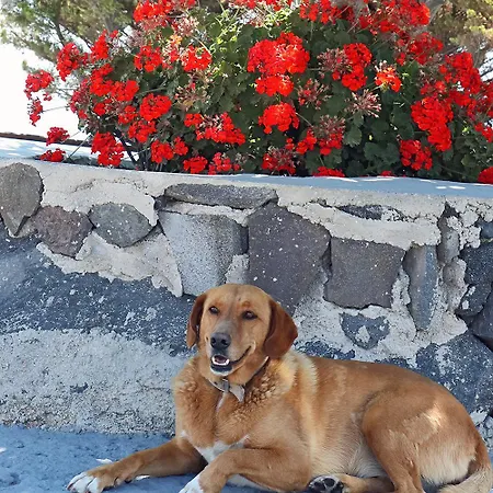 Phaos Santorini Otel Imerovigli (Santorini)