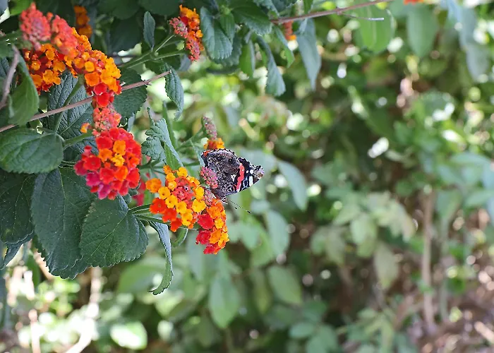 Hotel Phaos Santorini Imerovigli (Santorini)