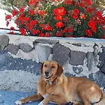 Phaos Santorini Szálloda Imerovígli